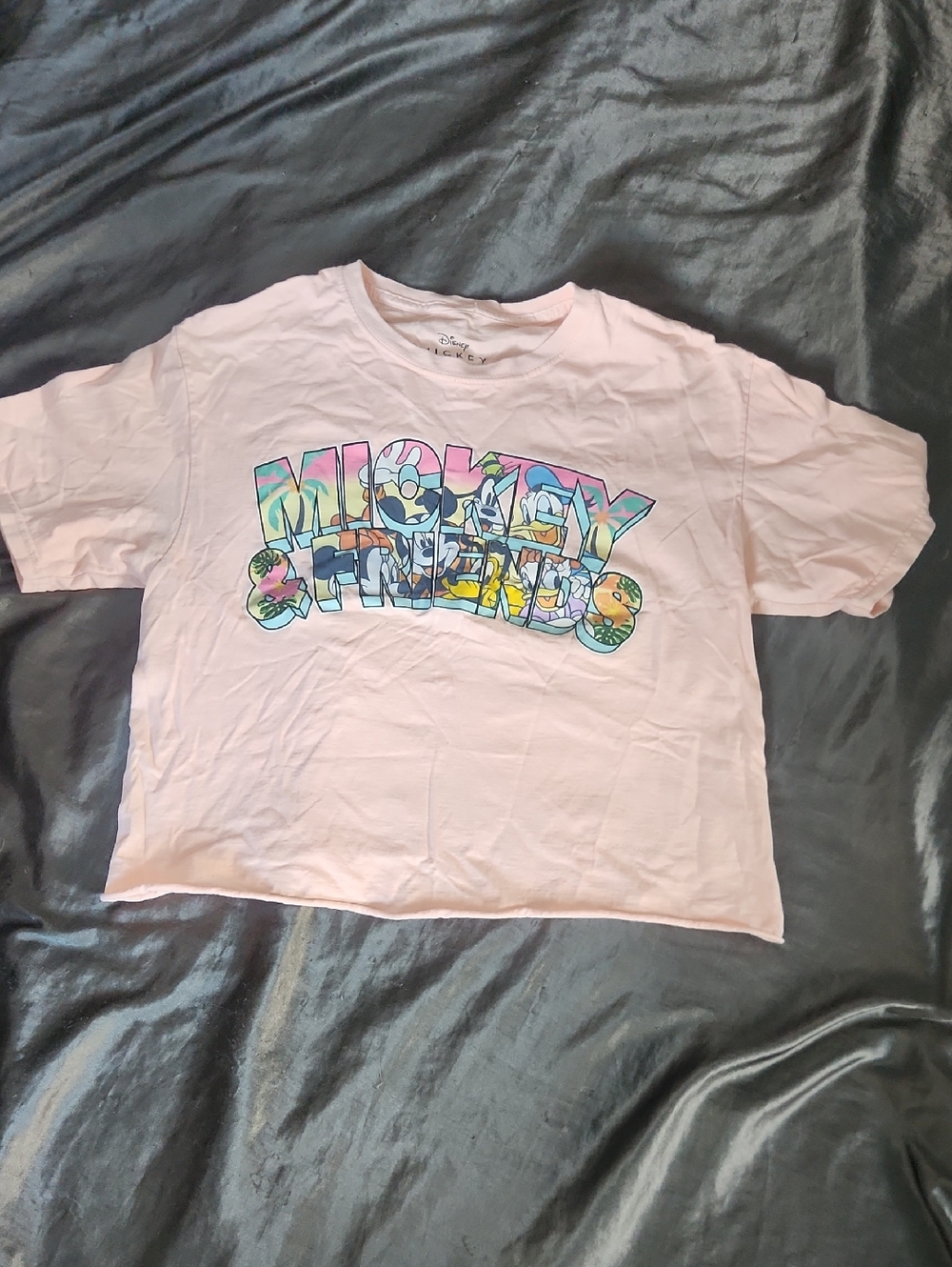 Disney Light Pink / Peach Mickey & Friends Multicolor Crop Top T-Shirt